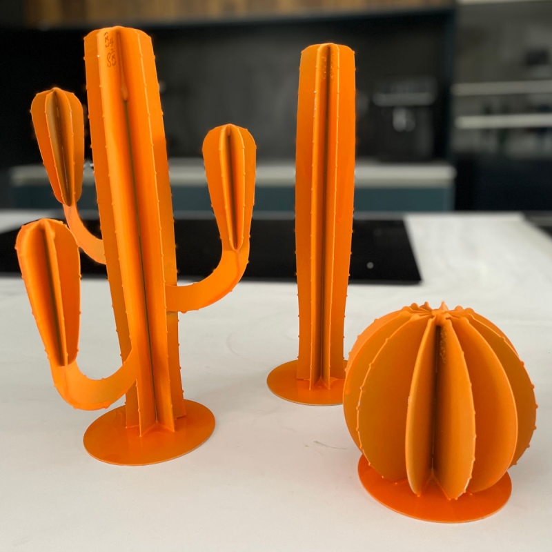 Petit Cactus Métal Monobranche Realtek