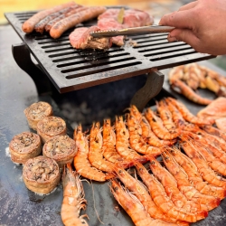 Braséro Design acier thermolaqué haut de gamme 70cm:  Socle Acier+ Cuve et plaque Inox + Grille Inox REALTEK - 5